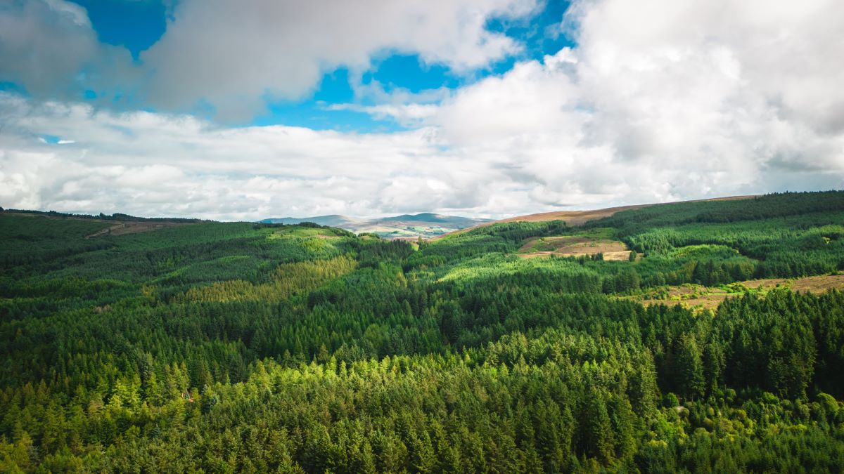 Natur entdecken: Schätze vor der Haustür finden